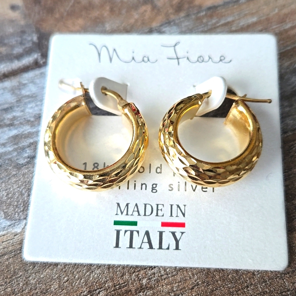 NWT  18K gold plated earrings.